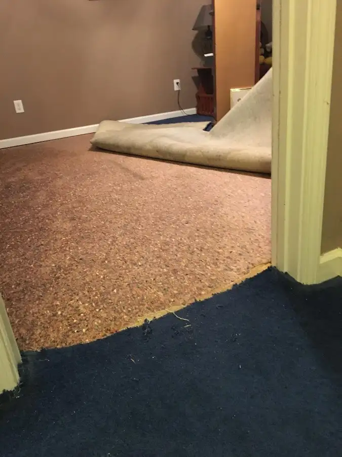 Carpet pad removal revealing water damage during Drying & Dehumidification in Haines City